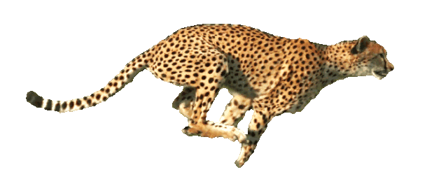 9.png