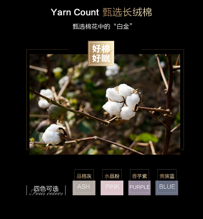 图片6.png